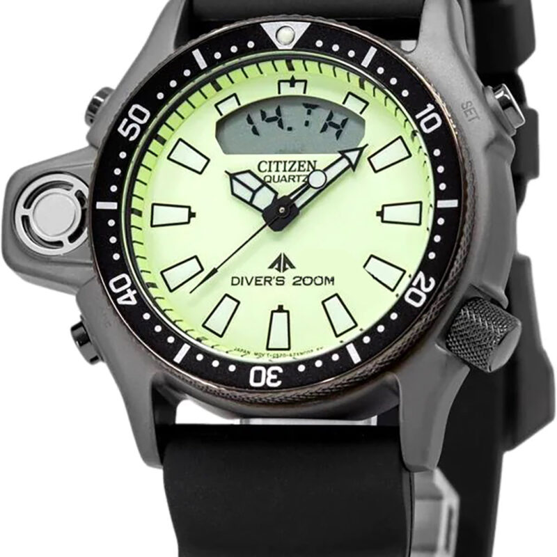 Citizen Unisex Watch (JP2007-17W)