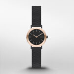Skagen Hald Black Dial Rose Gold Ladies Watch SKW2493Watch