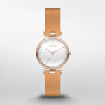 Skagen Tanja Silver Dial Brown Leather Ladies Watch SKW2514Watch