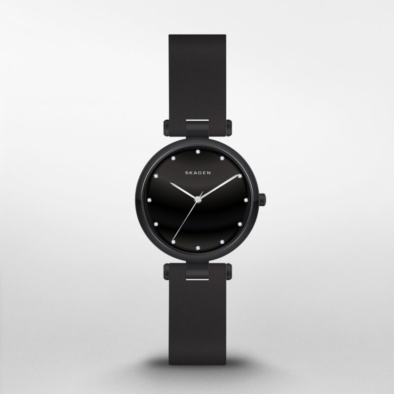 Skagen Women's SKW2515 Tanja Black Leather Watch