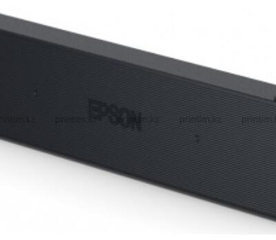 Epson Ink Bags Black WF-C21000 50000 Pages