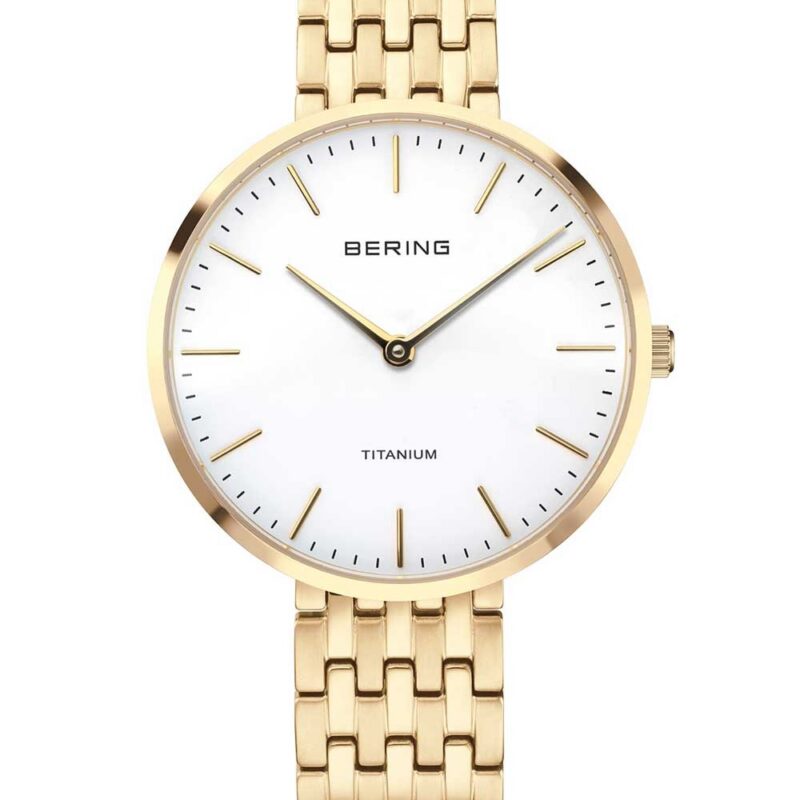 Bering Men's 46mm Watch (19334-334)