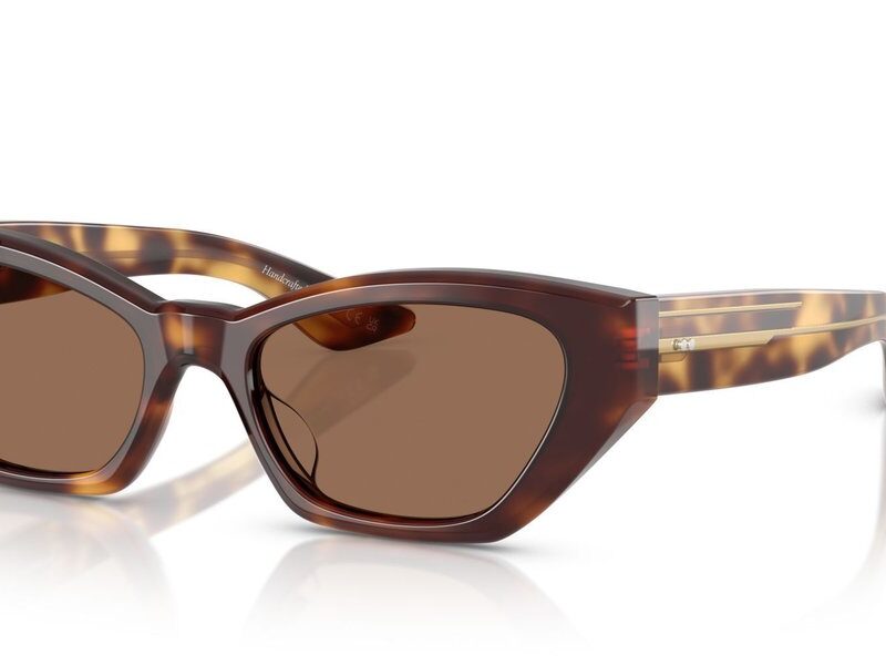 Oliver Peoples 1961C OV 5582SU Dark Mahogany/Brown Sunglasses