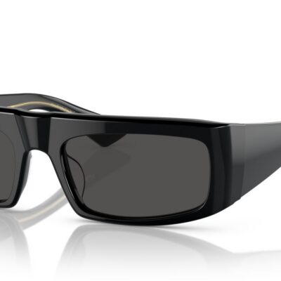 Oliver Peoples 1979C OV 5549SU Black/Grey Sunglasses