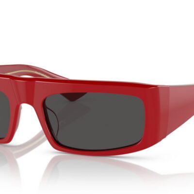 Oliver Peoples 1979C OV 5549SU 178187 Sunglasses
