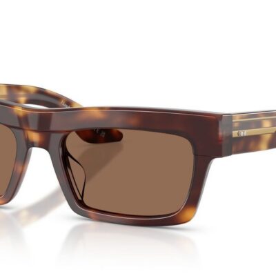 Oliver Peoples 1985C OV 5607SU Dark Mahogany/Brown Sunglasses
