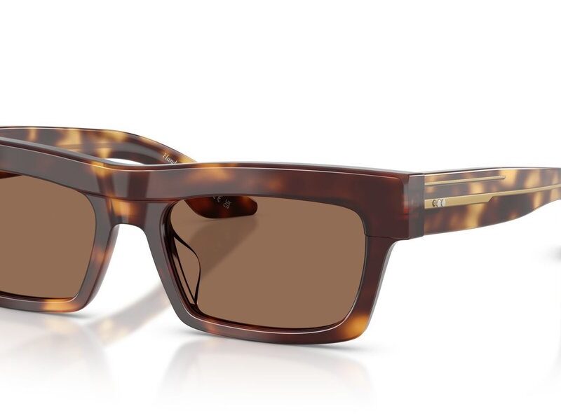 Oliver Peoples 1985C OV 5607SU Dark Mahogany/Brown Sunglasses