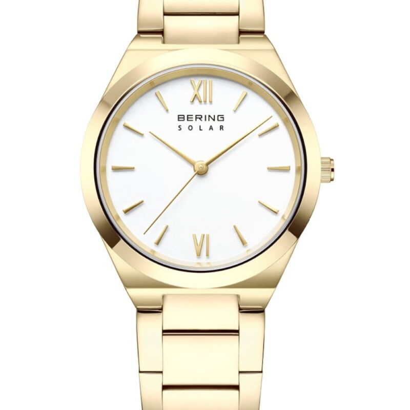 Bering Men's 46mm Watch (19932-734)