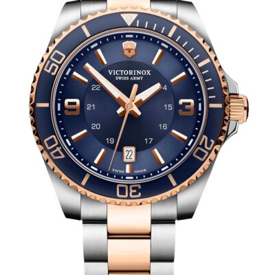 Victorinox Men's 46mm Watch (241950)