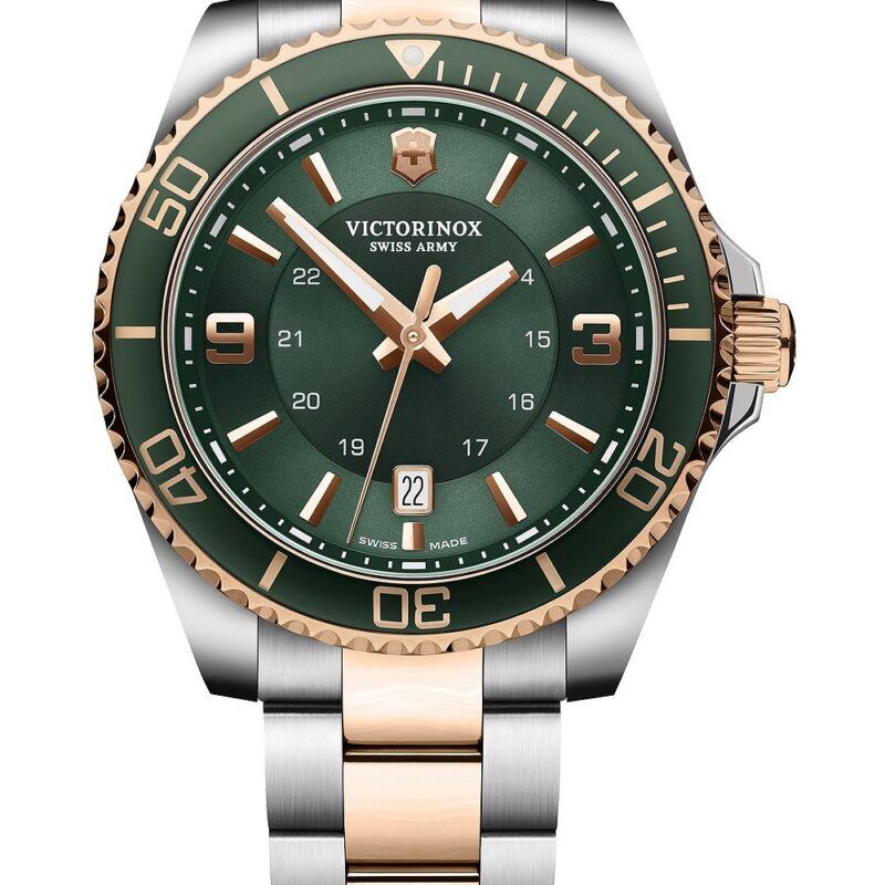 Victorinox Men's 46mm Watch (242008)
