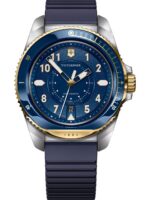 Victorinox Men's 46mm Watch (242013)