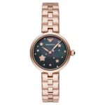 Emporio Armani Women's 32mm Watch (AR11197)