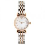 Emporio Armani Women's 22mm Watch (AR1689)