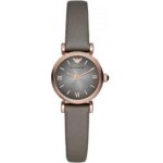Emporio Armani Women's 22mm Watch (AR1727)
