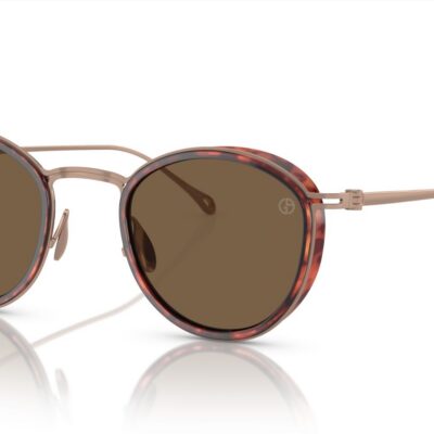 Giorgio Armani Men's AR 6148T Shiny Havana/Dark Brown Sunglasses