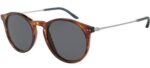 Giorgio Armani Men's AR 8121 Red Havana/Grey Sunglasses