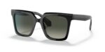 Giorgio Armani Women's AR 8156 Black/Grey Shaded Sunglasses