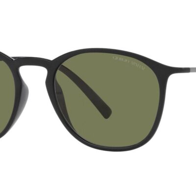 Giorgio Armani Men's AR 8186U Shiny Black/Grey Sunglasses