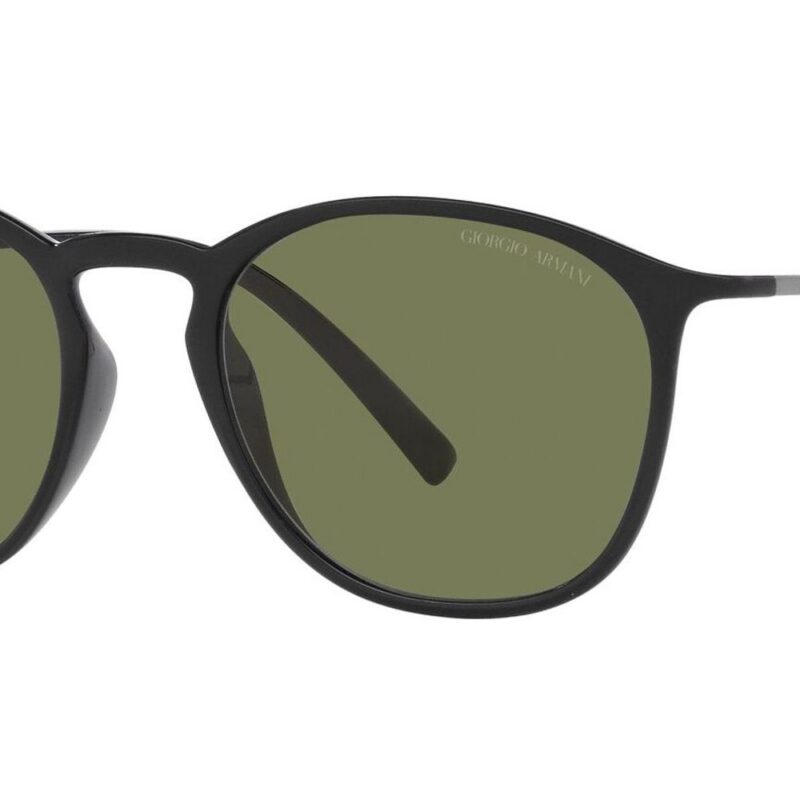 Giorgio Armani Men's AR 8186U Shiny Black/Grey Sunglasses