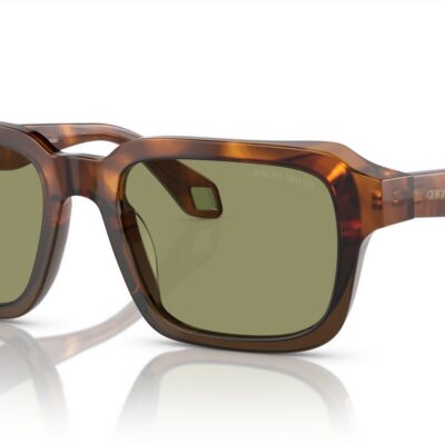 Giorgio Armani Men's AR 8194U Red Opal Green Havana/Green Sunglasses