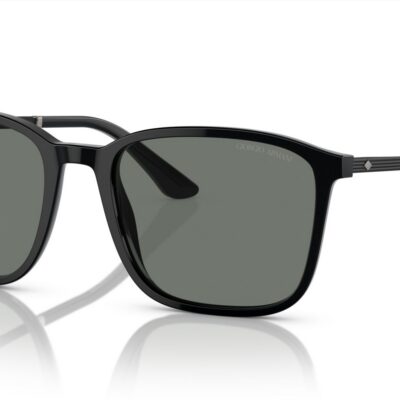 Giorgio Armani Men's AR 8197 Black/Grey Sunglasses