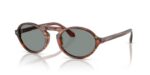 Giorgio Armani Men's AR 8219U Striped Brown/Blue Sunglasses