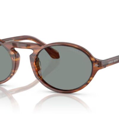 Giorgio Armani Men's AR 8219U Striped Brown/Blue Sunglasses