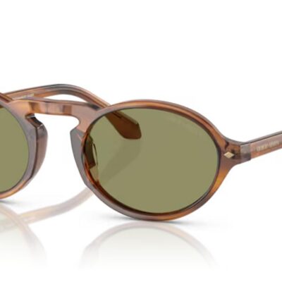 Giorgio Armani Men's AR 8219U Striped Honey/Green Sunglasses