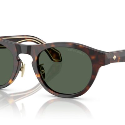 Giorgio Armani Men's AR 8225 Havana/Dark Green Sunglasses