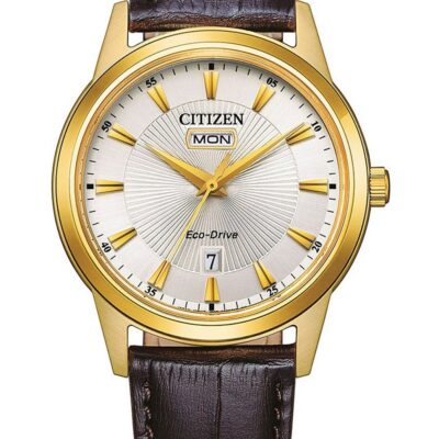 Citizen Men's 43mm Watch (AW0102-13AC)