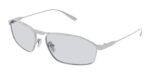 Balenciaga Men's BB0416S Silver/Grey Sunglasses