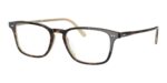 Oliver Peoples BERRINGTON OV 5427U Tortoise Horn Eyeglasses