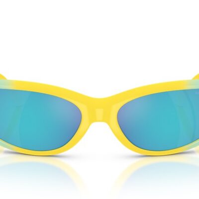 Arnette Sunglasses (0AN4302 30201U 65)