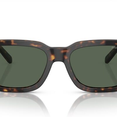 Arnette Sunglasses (0AN4334 122271 53)