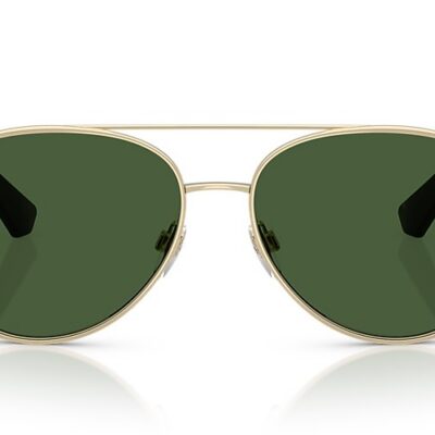 Burberry Sunglasses (0BE3157 110971 59)
