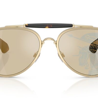 Burberry Sunglasses (0BE3161 1109P4 60)