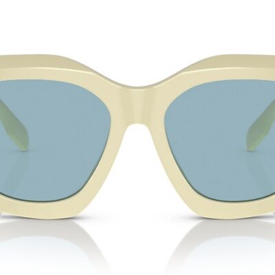 Burberry Sunglasses (0BE4388U 406680 55)