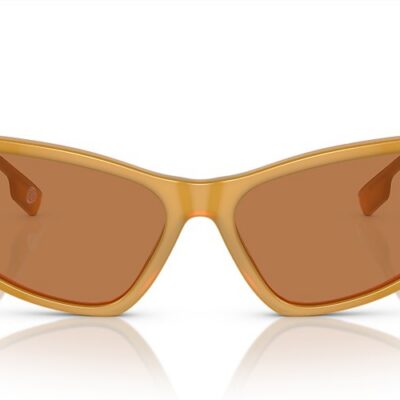 Burberry Sunglasses (0BE4408 409473 52)