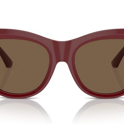 Burberry Sunglasses (0BE4418 411973 54)