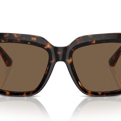 Burberry Sunglasses (0BE4419 300273 54)