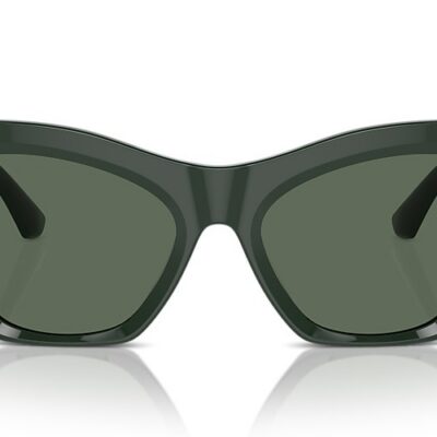 Burberry Sunglasses (0BE4420U 403871 55)