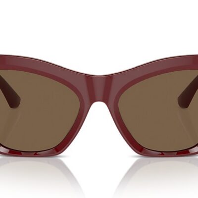 Burberry Sunglasses (0BE4420U 411973 55)