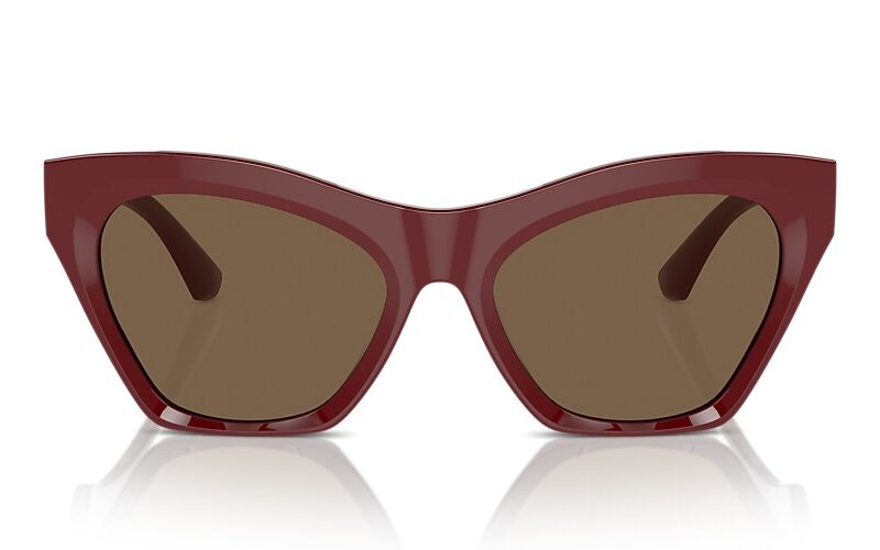 Burberry Sunglasses (0BE4420U 411973 55)
