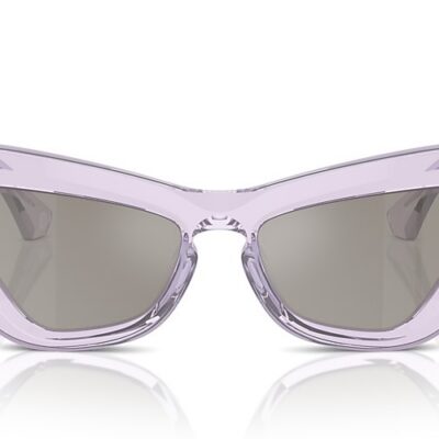 Burberry Sunglasses (0BE4421U 40956G 51)