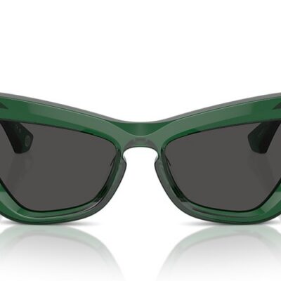 Burberry Sunglasses (0BE4421U 410487 51)