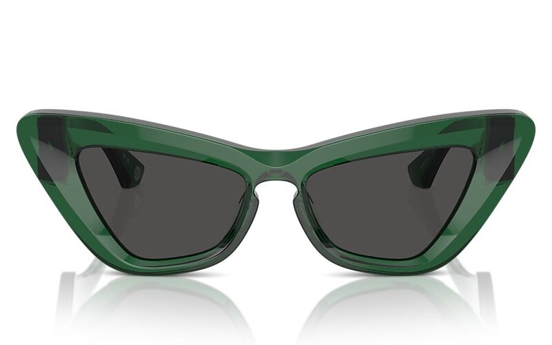 Burberry Sunglasses (0BE4421U 410487 51)