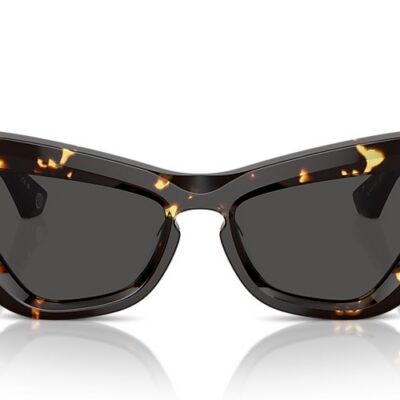 Burberry Sunglasses (0BE4421U 410687 51)