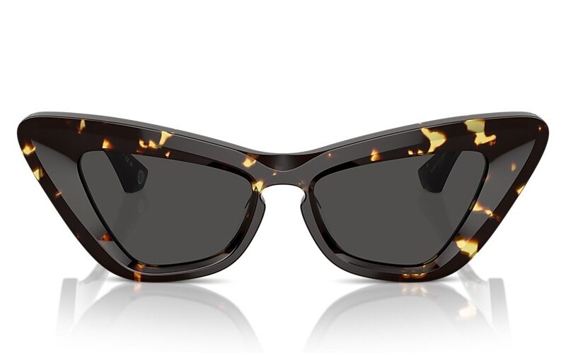 Burberry Sunglasses (0BE4421U 410687 51)