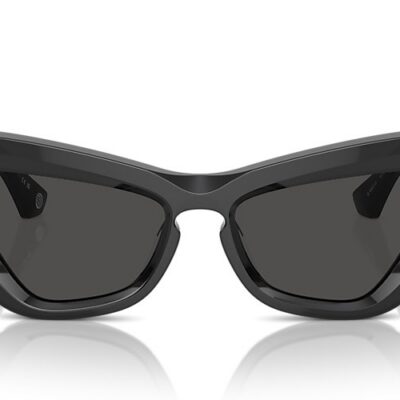 Burberry Sunglasses (0BE4421U 411287 51)