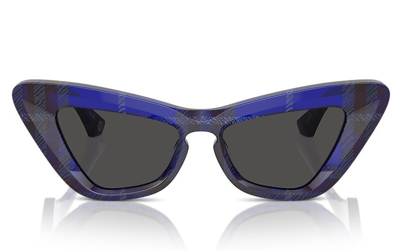 Burberry Sunglasses (0BE4421U 411487 51)